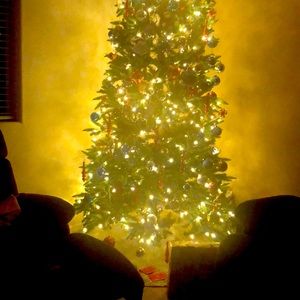 Marry Christmas from me to you